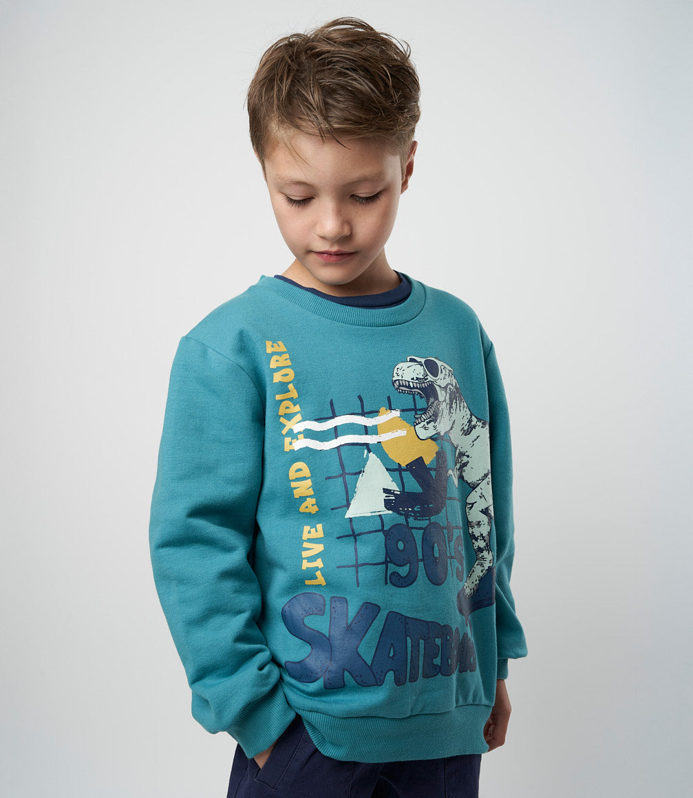 Polerón niño con dinosaurios 2 años / Petróleo