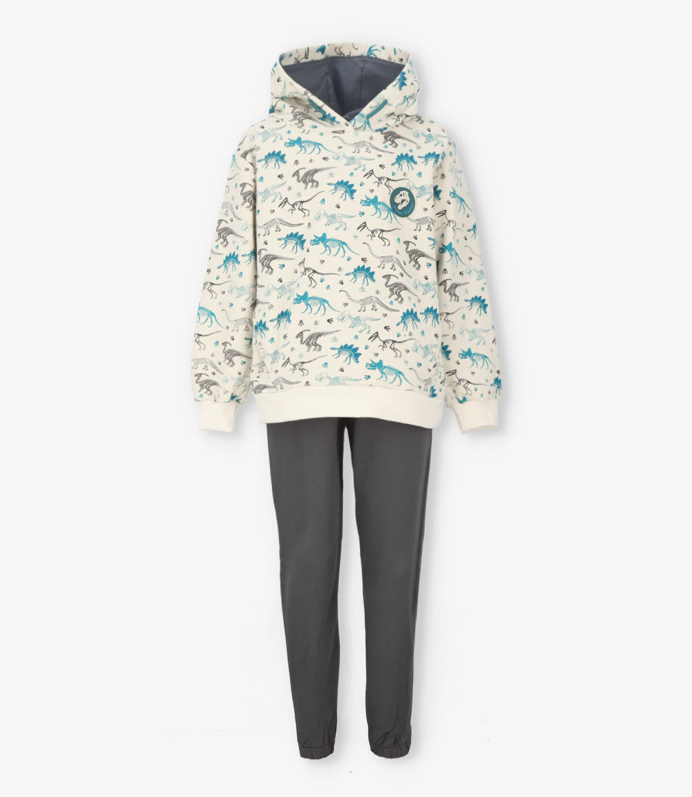 Buzo niño dinosaurios 2 años / Gris