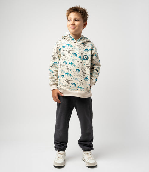 Buzo niño dinosaurios 2 años / Gris