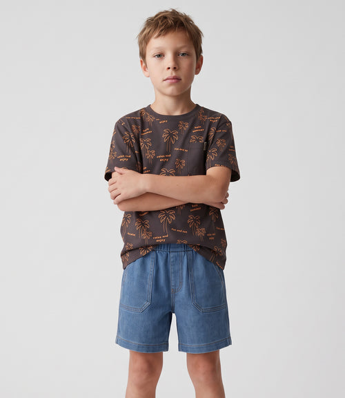 Conjunto niño palmeras 2 años / Gris