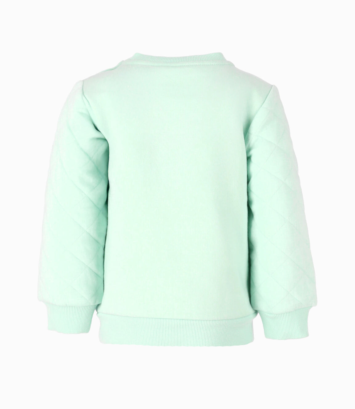 Polerón bebé niño dino 6 meses / Menta