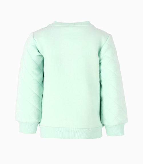 Polerón bebé niño dino 6 meses / Menta