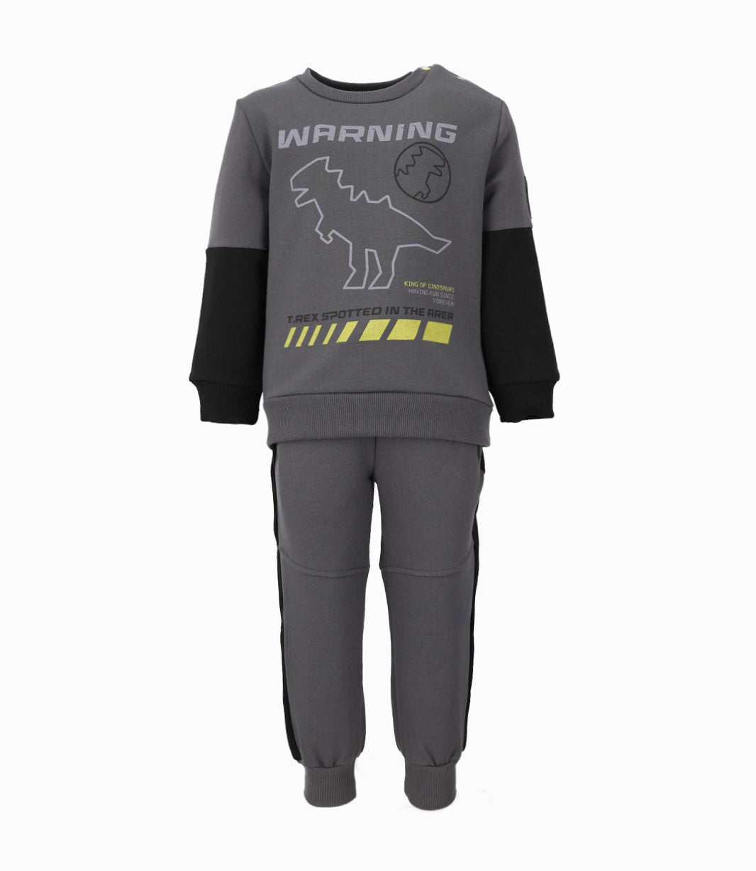 Buzo bebé niño con dinosaurio 6 meses / Gris