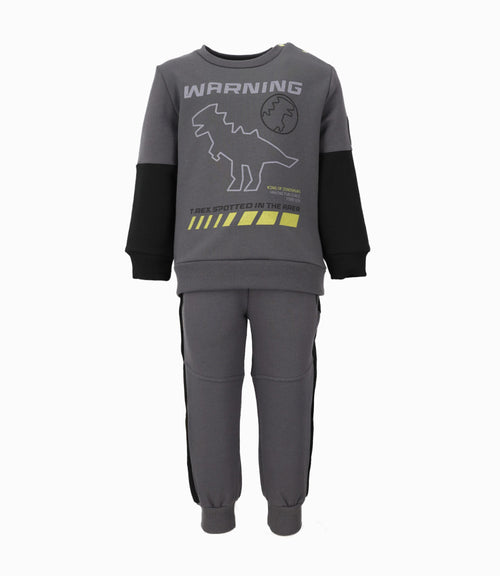 Buzo bebé niño con dinosaurio 6 meses / Gris