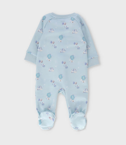 Enterito recién nacido con elefante