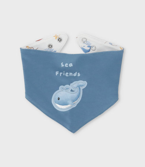 Conjunto recién nacido de mar 0 meses / Celeste