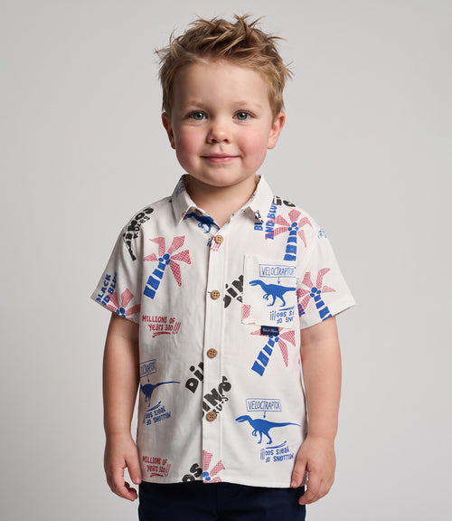 Camisa bebé niño dinos