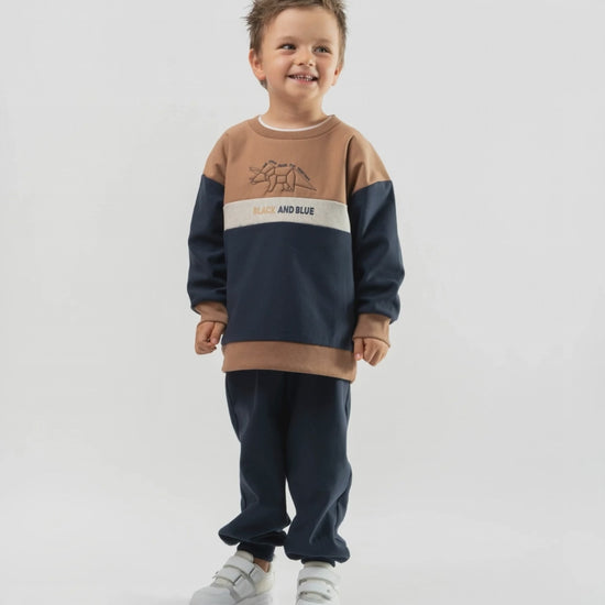 Buzo niño con dinosaurio