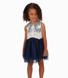 Vestido Niña Con Encaje y Tul
